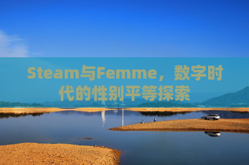 Steam与Femme，数字时代的性别平等探索