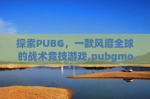 探索PUBG，一款风靡全球的战术竞技游戏,pubgmobile是什么游戏