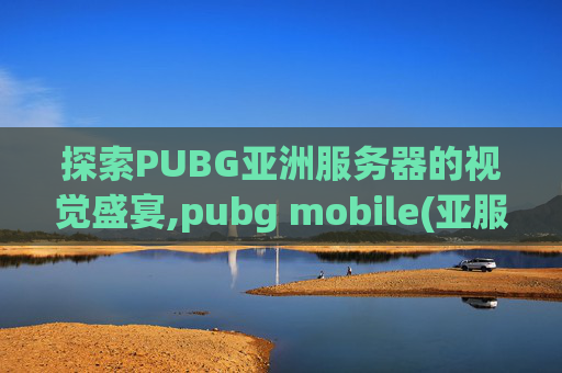 探索PUBG亚洲服务器的视觉盛宴,pubg mobile(亚服)