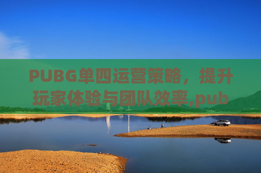 PUBG单四运营策略，提升玩家体验与团队效率,pubg运营是什么意思