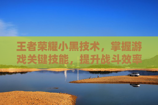 王者荣耀小黑技术，掌握游戏关键技能，提升战斗效率,王者荣耀小黑技术教学