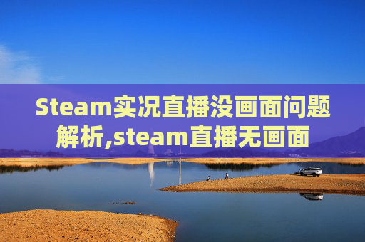 Steam实况直播没画面问题解析,steam直播无画面