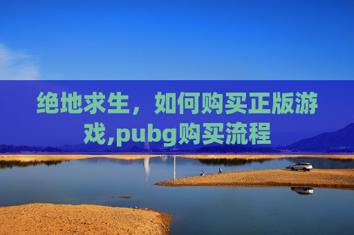 绝地求生，如何购买正版游戏,pubg购买流程