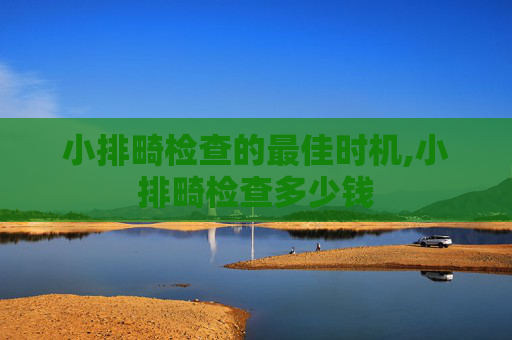小排畸检查的最佳时机,小排畸检查多少钱