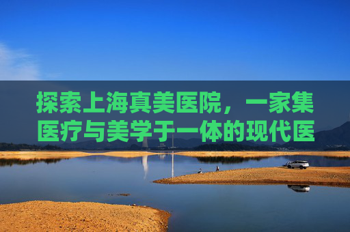 探索上海真美医院，一家集医疗与美学于一体的现代医疗机构,上海真美医院子宫切除视频