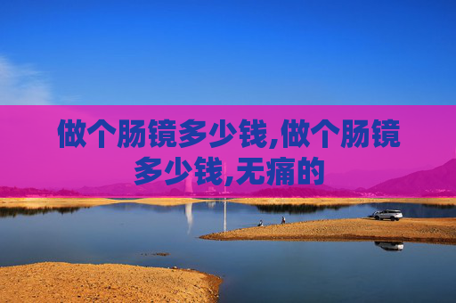 做个肠镜多少钱,做个肠镜多少钱,无痛的