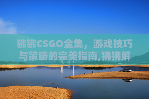 狒狒CSGO全集，游戏技巧与策略的完美指南,狒狒解说好看视频