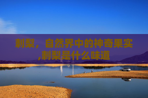 刺梨，自然界中的神奇果实,刺梨是什么味道