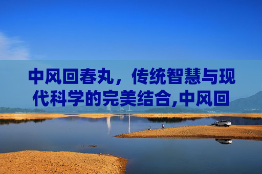中风回春丸，传统智慧与现代科学的完美结合,中风回春丸功效作用与主治