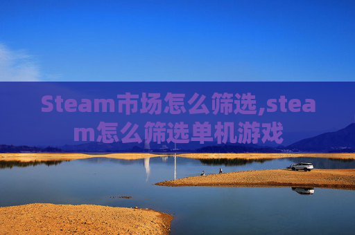 Steam市场怎么筛选,steam怎么筛选单机游戏