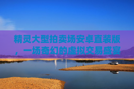 精灵大型拍卖场安卓直装版，一场奇幻的虚拟交易盛宴,精灵大型拍卖场slg