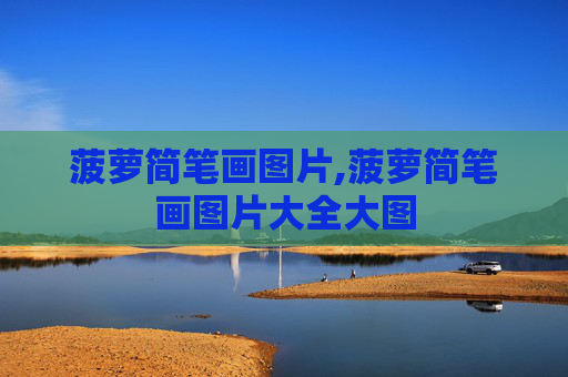 菠萝简笔画图片,菠萝简笔画图片大全大图