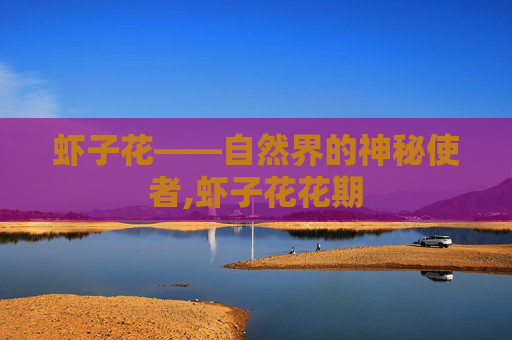 虾子花——自然界的神秘使者,虾子花花期