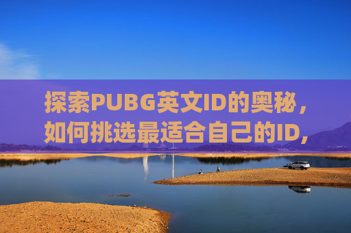 探索PUBG英文ID的奥秘，如何挑选最适合自己的ID,pubg英文昵称