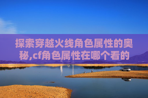 探索穿越火线角色属性的奥秘,cf角色属性在哪个看的