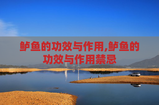 鲈鱼的功效与作用,鲈鱼的功效与作用禁忌