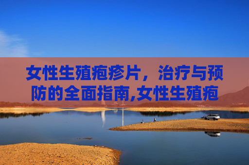 女性生殖疱疹片，治疗与预防的全面指南,女性生殖疱疹吃什么药最好