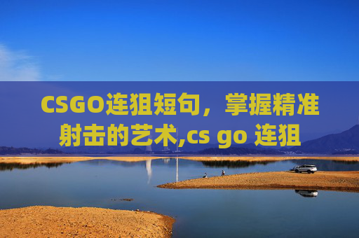 CSGO连狙短句，掌握精准射击的艺术,cs go 连狙