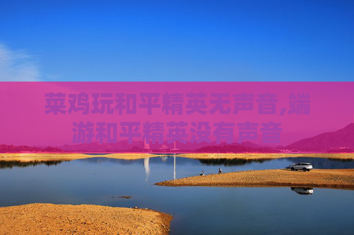 菜鸡玩和平精英无声音,端游和平精英没有声音