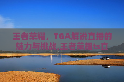 王者荣耀，TGA解说直播的魅力与挑战,王者荣耀ts直播