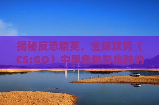 揭秘反恐精英，全球攻势（CS:GO）中黑色魅影皮肤的价格之谜,csgo的黑色魅影多少钱一把