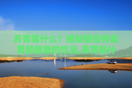 养胃喝什么？揭秘那些有益胃部健康的饮品,养胃喝什么汤最好