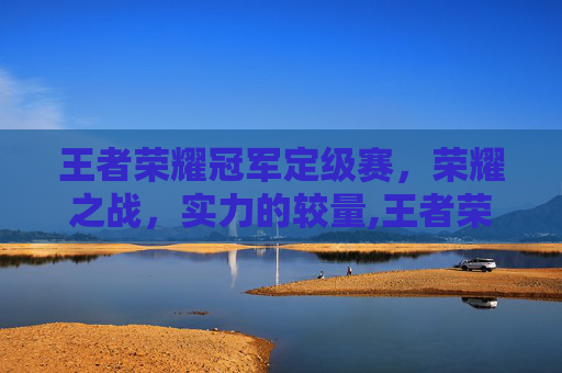 王者荣耀冠军定级赛，荣耀之战，实力的较量,王者荣耀 定级赛
