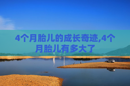 4个月胎儿的成长奇迹,4个月胎儿有多大了