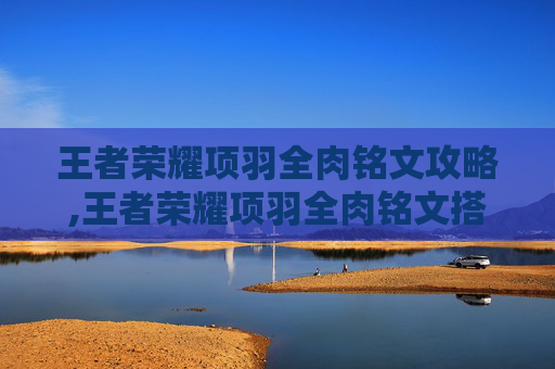 王者荣耀项羽全肉铭文攻略,王者荣耀项羽全肉铭文搭配