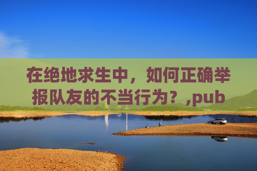 在绝地求生中，如何正确举报队友的不当行为？,pubg举报队友什么按键