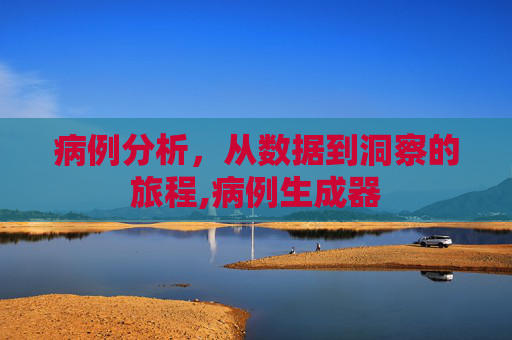 病例分析，从数据到洞察的旅程,病例生成器