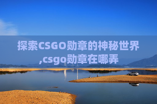 探索CSGO勋章的神秘世界,csgo勋章在哪弄