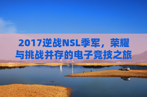 2017逆战NSL季军，荣耀与挑战并存的电子竞技之旅,逆战nsl总决赛