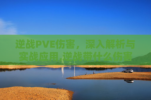 逆战PVE伤害，深入解析与实战应用,逆战带什么伤害最高