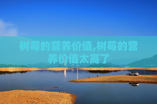 树莓的营养价值,树莓的营养价值太高了