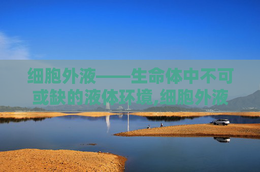 细胞外液——生命体中不可或缺的液体环境,细胞外液包括哪些