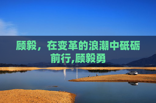 顾毅，在变革的浪潮中砥砺前行,顾毅勇