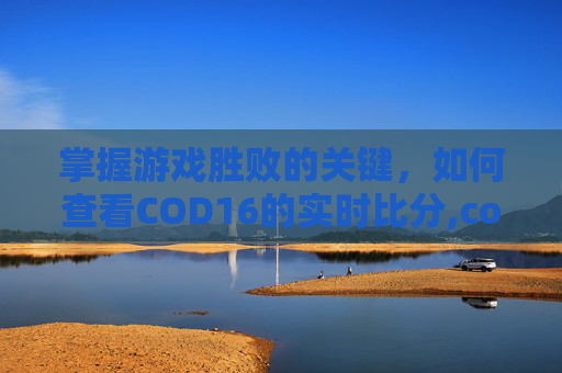 掌握游戏胜败的关键，如何查看COD16的实时比分,cod16如何看战绩