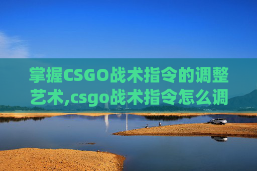 掌握CSGO战术指令的调整艺术,csgo战术指令怎么调出来