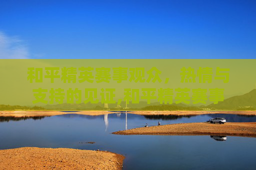 和平精英赛事观众，热情与支持的见证,和平精英赛事观众有哪些