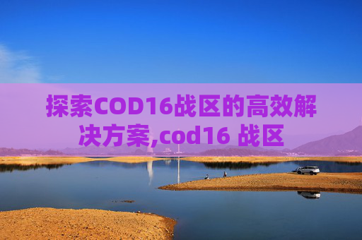 探索COD16战区的高效解决方案,cod16 战区