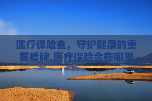 医疗保险金，守护健康的重要盾牌,医疗保险金在哪里查询