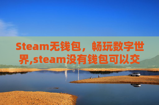 Steam无钱包，畅玩数字世界,steam没有钱包可以交易报价吗