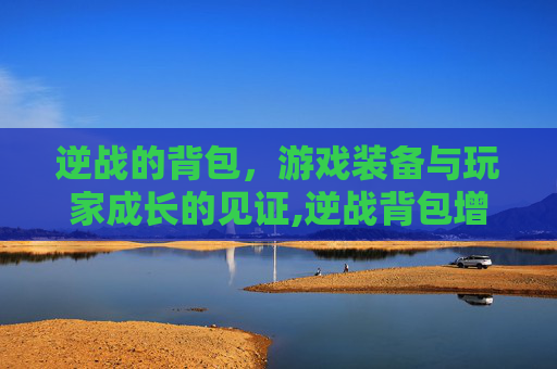 逆战的背包，游戏装备与玩家成长的见证,逆战背包增伤排名