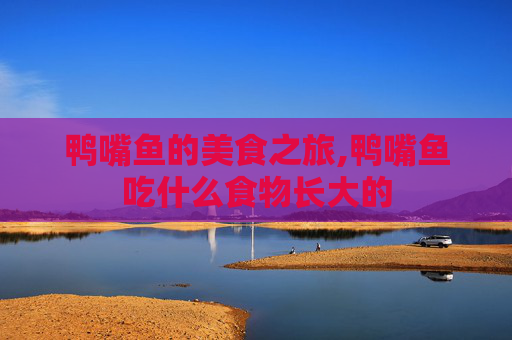 鸭嘴鱼的美食之旅,鸭嘴鱼吃什么食物长大的