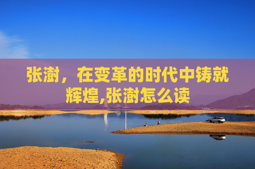 张澍，在变革的时代中铸就辉煌,张澍怎么读