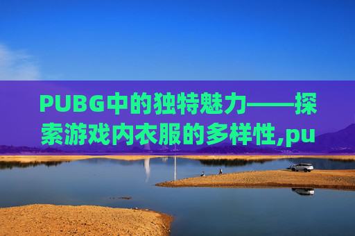 PUBG中的独特魅力——探索游戏内衣服的多样性,pubg里的衣服怎么赠送给好友
