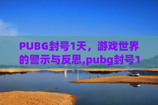 PUBG封号1天，游戏世界的警示与反思,pubg封号1天