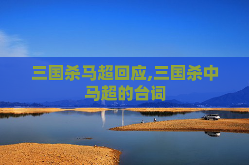三国杀马超回应,三国杀中马超的台词