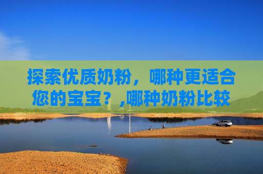 探索优质奶粉，哪种更适合您的宝宝？,哪种奶粉比较好吸收不涨气